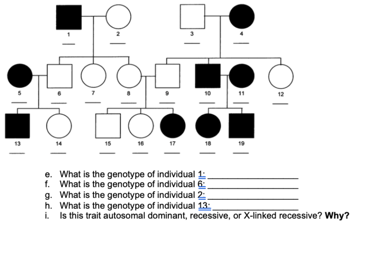 answered-e-what-is-the-genotype-of-individual-bartleby