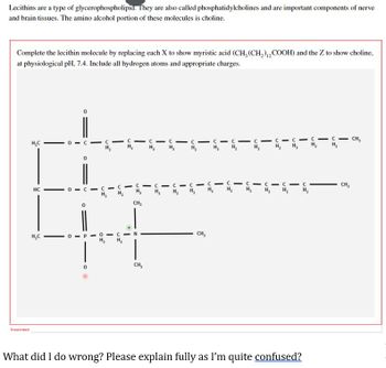 Lecithins are a type of
glycerophospholipid.
They are also called phosphatidylcholines and are important components of nerve
and brain tissues. The amino alcohol portion of these molecules is choline.
Complete the lecithin molecule by replacing each X to show myristic acid (CH₂(CH₂)2COOH) and the Z to show choline,
at physiological pH, 7.4. Include all hydrogen atoms and appropriate charges.
H₂C
c1c1c-cc- CICIC-C-C-C-C- CH₂
H₂ H₂
H₂ H₂ H₂ H₂ H₂
H₂
H₂
H₂
C-c-c-c.
CICIC-C-c-c
H₂ H₂H₂ H₂
CH₂
HC
H₂H₂
CH₂
CH₂
H₂C
CH₂
Incorrect
What did I do wrong? Please explain fully as I'm quite confused?
O
H₂
I
I
0
P
I
OF
I
UI
I
с
H₂
I