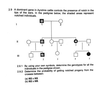 2.9 A dominant gene in Ayrshire cattle controls the presence of notch in the
tips of the ears. In the pedigree below, the shaded areas represent
notched individuals.
1
||
2.9.1
2.9.2
1
1
1
(a) 1112 x 1113
(b) 1112 x 1I15.
2
2
3
3
2
4
5
4
6
5
By using your own symbols, determine the genotypes for all the
individuals in the pedigree shown.
Determine the probability of getting notched progeny from the
crosses between: