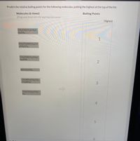 Predict the relative boiling points for the following molecules, putting the highest at the top of the list.
Molecules (6 items)
Boiling Points
(Drag and drop into the appropriate area)
Highest
CH3CH(CH3)CH2C
H2CH3
1
CH3CH2NHCH2CH
2CH2CH3
CH2(OH)CH2CH2C
H2(OH)
N(CH2CH3)3
CH2(NH2)CH2CH2
CH2(NH2)
3.
CH3C(CH3)2CH2C
H3
5.
