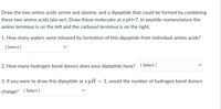 Draw the two amino acids serine and alanine, and a dipeptide that could be formed by combining
these two amino acids (ala-ser). Draw these molecules at a pH=7. In peptide nomenclature the
amino terminus is on the left and the carboxyl terminus is on the right.
1. How many waters were released by formation of this dipeptide from individual amino acids?
[ Select ]
2. How many hydrogen bond donors does your dipeptide have? [ Select ]
3. If you were to draw this dipeptide at a pH
:1, would the number of hydrogen bond donors
change? [ Select ]
