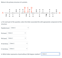 Below is the primary structure of a protein.
В С
D
R
H
H
R
о н
H
II
.· E
...
C -
N - C - C -N - C - C
-
II
H
H
H
R
H
H
a. For each part of the question, select the letter associated the with appropriate component of the
structure.
Peptide bond [ Select ]
Psi bond
[ Select ]
Phi bond
[ Select ]
N-terminus
[ Select ]
C-terminus [ Select]
b. Which letter represents a bond without 360-degree rotation?
[ Select ]
