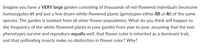 Imagine you have a VERY large garden consisting of thousands of red-flowered individuals (recessive
homozygotes rr) and just a few dozen white-flowered plants (genotypes either RR or Rr) of the same
species. The garden is isolated from all other flower populations. What do you think will happen to
the frequency of the white-flowered plants in your garden from year to year, assuming that the two
phenotypes survive and reproduce equally well, that flower color is inherited as a dominant trait,
and that pollinating insects make no distinction in flower color? Why?
