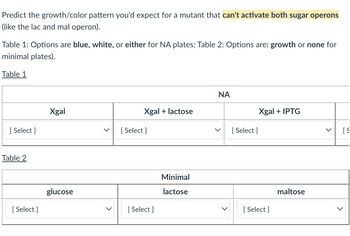 **Predicting the Growth/Color Pattern for a Mutant Unable to Activate Both Sugar Operons**

**Introduction:**
In this exercise, you will predict the growth or color pattern expected for a mutant that cannot activate both sugar operons (such as the lac and mal operons).

**Instructions:**
- Table 1: NA plates options—blue, white, or either.
- Table 2: Minimal plates options—growth or none.

**Table 1: Nutrient Agar (NA) Plates**
|                | NA                                                            |
|----------------|--------------------------------------------------------------|
|                | Xgal                           | Xgal + lactose                            | Xgal + IPTG                  |
|                | [ Select ]                     | [ Select ]                                | [ Select ]                   |
 
- **Xgal:** Select the predicted color outcome (blue, white, or either).
- **Xgal + lactose:** Select the predicted color outcome (blue, white, or either).
- **Xgal + IPTG:** Select the predicted color outcome (blue, white, or either).

**Table 2: Minimal Plates**
|                | Minimal                                                   |
|----------------|-----------------------------------------------------------|
|                | glucose               | lactose                            | maltose         |
|                | [ Select ]            | [ Select ]                         | [ Select ]      |

- **Glucose:** Select if growth or no growth is expected.
- **Lactose:** Select if growth or no growth is expected.
- **Maltose:** Select if growth or no growth is expected.

These predictions will help you understand the metabolic pathways and regulatory mechanisms affecting the operons for sugar utilization in bacterial mutants. Make your selections based on your understanding of the operon model and the specific mutation disabling both sugar operon activations.