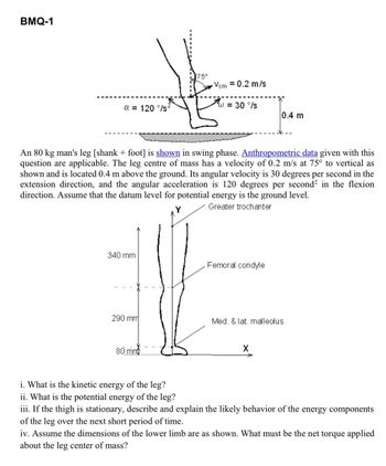 BMQ-1
a=120°/s
75°
Vem = 0.2 m/s
W = 30°/s
0.4 m
An 80 kg man's leg [shank + foot] is shown in swing phase. Anthropometric data given with this
question are applicable. The leg centre of mass has a velocity of 0.2 m/s at 75° to vertical as
shown and is located 0.4 m above the ground. Its angular velocity is 30 degrees per second in the
extension direction, and the angular acceleration is 120 degrees per second² in the flexion
direction. Assume that the datum level for potential energy is the ground level.
Greater trochanter
340 mm
Femoral condyle
290 mm
Med. & lat. malleolus
80 mm
X
i. What is the kinetic energy of the leg?
ii. What is the potential energy of the leg?
iii. If the thigh is stationary, describe and explain the likely behavior of the energy components
of the leg over the next short period of time.
iv. Assume the dimensions of the lower limb are as shown. What must be the net torque applied
about the leg center of mass?