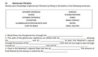 VI.
Glomerular Filtration
Review your knowledge of glomerular filtration by filling in the blanks in the following sentences.
AFFERENT ARTERIOLE
OSMOSIS
BLOOD
PLASMA PROTEINS
EFFERENT ARTERIOLE
PORES
FILTRATION
RENAL TUBULES
GLOMERULAR FILTRATION RATE (GFR)
WATER
LOOP OF HENLE
SMALL SOLUTES
1. Blood flows into the glomerulus through the
2. The walls of the glomerular capillaries are dotted with (a)
(b)
through the process of (d).
include (e)
3. Fluid in the Bowman's capsule flows into the (a)
fluid filtered by the kidneys is called the (b).
allowing
to pass into Bowman's capsule
Cells that are too large to pass through
and (c)
cells and (f)
The amount of

