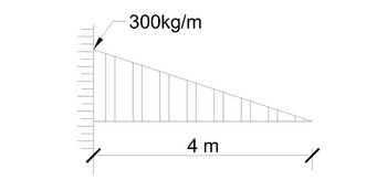 300kg/m
4 m