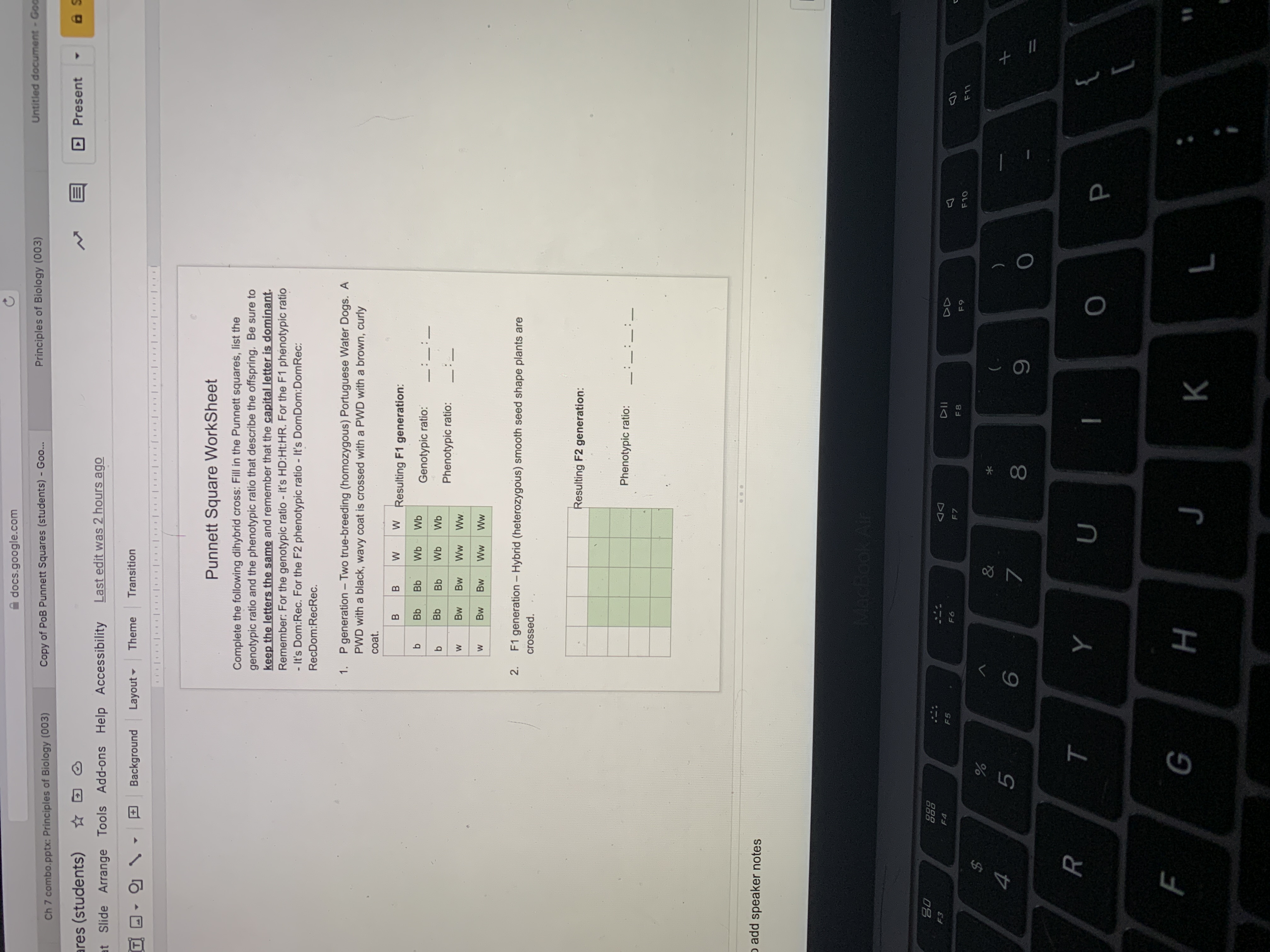 * 00
G
ト
LL
A docs.google.com
Principles of Biology (003)
Untitled document-Go
Ch 7 combo.pptx: Principles of Biology (003)
Copy of PoB Punnett Squares (students) - Goo...
ares (students)
DPresent
at Slide Arrange Tools Add-ons Help Accessibility
Last edit was 2 hours ago
Background
Layout -
Theme
Transition
11
Punnett Square WorkSheet
Complete the following dihybrid cross: Fill in the Punnett squares, list the
genotypic ratio and the phenotypic ratio that describe the offspring. Be sure to
keep the letters the same and remember that the capital letter is dominant.
Remember: For the genotypic ratio - it's HD:Ht:HR. For the F1 phénotypic ratio
- It's Dom:Rec. For the F2 phenotypic ratio - It's DomDom:DomRec:
RecDom:RecRec.
P generation - Two true-breeding (homozygous) Portuguese Water Dogs. A
PWD with a black, wavy coat is crossed with a PWD with a brown, curly
coat.
W Resulting F1 generation:
B.
Bb
Wb
Genotypic ratio:
Phenotypic ratio:
Bw
Bw
Mw.
Bw
MM
2. F1 generation – Hybrid (heterozygous) smooth seed shape plants are
crossed.
Resulting F2 generation:
Phenotypic ratio:
o add speaker notes
MacBook A
000
F5
DD
F8
F10
5.
Y
R.
P.
}
K
%3D
H
