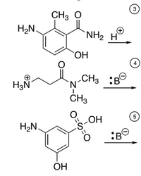 Answered: 3 CH3 O H2N. +) `NH2 H OH 4 „CH3 :B CH3… | Bartleby