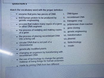 QUESTION 5
Match the vocabulary word with the proper definition:
enzyme that joins two pieces of DNA
✓ first human protein to be produced by
genetic engineering
00000
✓ process that makes many copies of a gene
or other DNA segment
the process of isolating and making copies
of a gene
✓ the process of placing recombinant DNA
into a living cell
circular DNA that is not part of a
chromosome
V
genetically modified plants
changing an organism by transforming with
recombinant DNA
DNA ligase
II. recombinant DNA
III. transgenic crop
IV. polymerase chain reaction
V. gene cloning
VI. genetic engineering
VII. transformation
VIII. plasmid
IX. biotechnology
X. insulin
the use of technology to change the genetic
makeup of living things for human purposes
made by joining DNA from two different