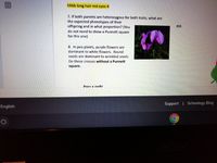 hhbb long hair red eyes-4
7. If both parents are heterozygous for both traits, what are
the expected phenotypes of their
offspring and in what proportion? (You
do not need to show a Punnett square
for this one)
8. In pea plants, purple flowers are
dominant to white flowers. Round
seeds are dominant to wrinkled seeds.
Do these crosses without a Punnett
square.
Pnrr x nnRr
Support | Schoology Blog
English
