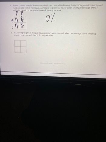 4. In pea plants, purple flowers are dominant over white flowers. If a homozygous dominant plant
was crossed with a homozygous recessive plant for flower color, what percentage of their
offspring would have white flowers? Show your work.
P P
P Pp Pp
р
0%
P
Pp Pp
5. If two offspring from the previous question were crossed, what percentage of the offspring
would have purple flowers? Show your work.
Keystone Science- All Rights Reserved