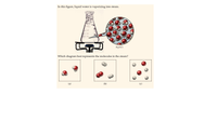 In this figure, liquid water is vaporizing into steam.
H20(1)
Which diagram best represents the molecules in the steam?
(а)
(Ь)
(c)
