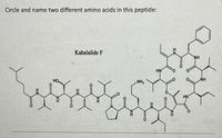 Circle and name two different amino acids in this peptide:
Kahalalide F
HN
HN
HO
NH
HN
HN
