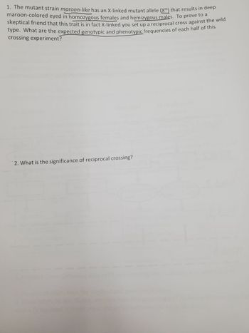 1. The mutant strain maroon-like has an X-linked mutant allele (X") that results in deep
maroon-colored eyed in homozygous females and hemizygous males. To prove to a
skeptical friend that this trait is in fact X-linked you set up a reciprocal cross against the wild
type. What are the expected genotypic and phenotypic frequencies of each half of this
crossing experiment?
2. What is the significance of reciprocal crossing?