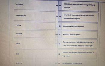 R plasmid
R determinant
CRISPR
tracrRNA
sgRNA
M
III
III
III
A CRISPR nuclease that can cut foreign DNA and
destroy it.
Small circle of extragenomic DNA that contains
antibiotic resistant genes.
Move a new gene into a genome.
Antibiotic resistant genes.
Trans-acting ('tracer") CRISPR RNA segment as a
stem-loop structure that binds to Cas and gRNA.
Interfere with mRNA of a gene so that it cannot be
expressed.
Remove a gene from a genome.