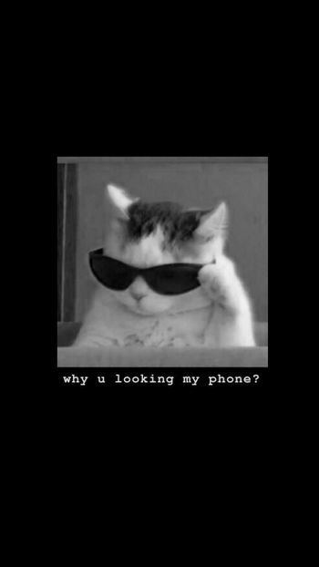 why u looking my phone?
