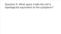 Question 9. What space inside the cell is
topologically equivalent to the cytoplasm?
