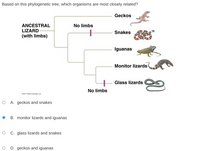 Answered: Based On This Phylogenetic Tree, Which… | Bartleby