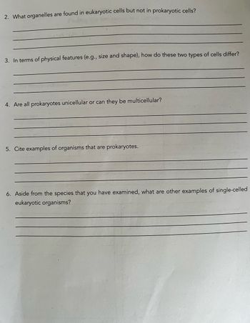 2. What organelles are found in eukaryotic cells but not in prokaryotic cells?
3. In terms of physical features (e.g., size and shape), how do these two types of cells differ?
4. Are all prokaryotes unicellular or can they be multicellular?
5. Cite examples of organisms that are prokaryotes.
6. Aside from the species that you have examined, what are other examples of single-celled
eukaryotic organisms?