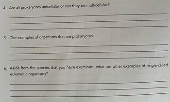 4. Are all prokaryotes unicellular or can they be multicellular?
5. Cite examples of organisms that are prokaryotes.
6. Aside from the species that you have examined, what are other examples of single-celled
eukaryotic organisms?