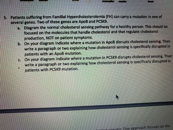 5. Patients suffering from Familial Hypercholesterolemia (FH) can carry a mutation in one of
several genes. Two of these genes are ApoB and PCSK9.
6
a. Diagram the normal cholesterol sensing pathway for a healthy person. This should be
focused on the molecules that handle cholesterol and that regulate cholesterol
production, NOT on patient symptoms.
b. On your diagram indicate where a mutation in Apoß disrupts cholesterol sensing. Then
write a paragraph or two explaining how cholesterol sensing is specifically disrupted in
patients with an Apoß mutation.
c. On your diagram indicate where a mutation in PCSK9 disrupts cholesterol sensing. Then
write a paragraph or two explaining how cholesterol sensing is specifically disrupted in
patients with PCSK9 mutation.
A
in cancers. One approach focuses on the