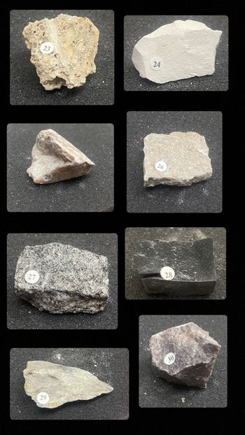 This image displays a collection of geological specimens, each labeled with a number for educational identification.

1. **Sample 23**: A light brown, porous rock with a rough texture, potentially a type of sedimentary rock.

2. **Sample 24**: A pale, smooth rock with a somewhat chalky appearance, possibly a limestone or similar sedimentary rock.

3. **Sample 25**: A grayish rock with a prominent angular break, indicating crystalline or granitic structure.

4. **Sample 26**: A flat, brownish-gray rock with a finer texture, which may be sandstone or a similar sedimentary form.

5. **Sample 27**: A speckled, coarse-grained rock, likely granite or another intrusive igneous rock due to its mineral visibility.

6. **Sample 28**: A dark, dense rock with a solid appearance, possibly basalt or another volcanic igneous rock.

7. **Sample 29**: A flat, layered rock with a metallic sheen, suggesting it could be a metamorphic rock like schist.

8. **Sample 30**: A rough, reddish-brown rock, possibly indicating features of a metamorphic rock like phyllite.

These samples illustrate a variety of rock types, showcasing different textures, colors, and geological characteristics for educational study.