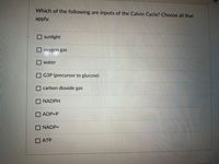 Which of the following are inputs of the Calvin Cycle? Choose all that
apply.
sunlight
oxygen gas
water
G3P (precursor to glucose)
carbon dioxide gas
NADPH
ADP+P
NADP+
O ATP
