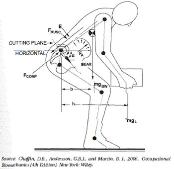 Answered: Muscle Moment Arm = 5 Cm = D Weight Of… | Bartleby