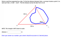 Points A and B are separated by a lake. To find the distance between them, a surveyor locates a point C on
land such than ZCAB = 48.8°. Find the distance across the lake from A to B.
В
540 m
48.8°
C
394 m
NOTE: The triangle is NOT drawn to scale.
distance =
Enter your answer as a number; your answer should be accurate to 2 decimal places.
