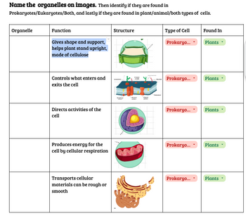 Answered: Name the organelles on images. Then… | bartleby