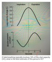 Inspiration
Expiration
0.5
0.4
0.3
0.2
0.1
Seconds
If tidal breathing typically involves 10% of the vital capacity
(VC), what is the best estimate of this person's VC?
Alveolar pressure
Lung volume change (L)
(o H)
