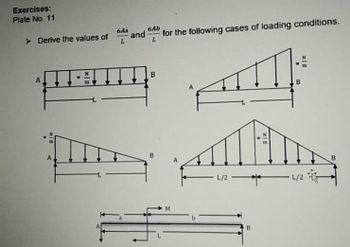 Answered: A M ZIE L B | Bartleby