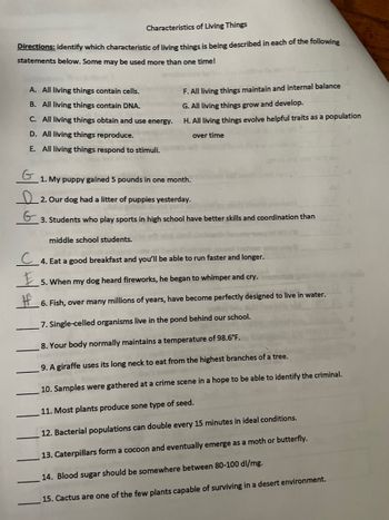 Characteristics
Living Things
Directions: identify which characteristic of living things is being described in each of the following
statements below. Some may be used more than one time!
A. All living things contain cells.
B. All living things contain DNA.
C. All living things obtain and use energy.
D. All living things reproduce.
E. All living things respond to stimuli.
F. All living things maintain and internal balance
G. All living things grow and develop.
H. All living things evolve helpful traits as a population
over time
1. My puppy gained 5 pounds in one month.
2. Our dog had a litter of puppies yesterday.
3. Students who play sports in high school have better skills and coordination than
middle school students.
C4. Eat a good breakfast and you'll be able to run faster and longer.
E
5. When my dog heard fireworks, he began to whimper and cry.
6. Fish, over many millions of years, have become perfectly designed to live in water.
7. Single-celled organisms live in the pond behind our school.
8. Your body normally maintains a temperature of 98.6°F.
9. A giraffe uses its long neck to eat from the highest branches of a tree.
10. Samples were gathered at a crime scene in a hope to be able to identify the criminal.
11. Most plants produce sone type of seed.
12. Bacterial populations can double every 15 minutes in ideal conditions.
13. Caterpillars form a cocoon and eventually emerge as a moth or butterfly.
14. Blood sugar should be somewhere between 80-100 dl/mg.
15. Cactus are one of the few plants capable of surviving in a desert environment.