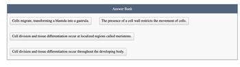 Cells migrate, transforming a blastula into a gastrula.
Answer Bank
The presence of a cell wall restricts the movement of cells.
Cell division and tissue differentiation occur at localized regions called meristems.
Cell division and tissue differentiation occur throughout the developing body.