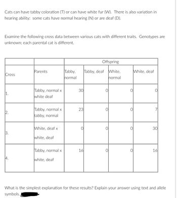 Cats can have tabby coloration (T) or can have white fur (W). There is also variation in
hearing ability: some cats have normal hearing (N) or are deaf (D).
Examine the following cross data between various cats with different traits. Genotypes are
unknown; each parental cat is different.
Cross
1.
2.
3.
14.
Parents
Tabby, normal x
white deaf
Tabby, normal x
tabby, normal
White, deaf x
white, deaf
Tabby, normal x
white, deaf
Tabby,
normal
30
23
O
16
Offspring
Tabby, deaf
O
O
O
O
White,
normal
O
White, deaf
O
30
16
What is the simplest explanation for these results? Explain your answer using text and allele
symbols.