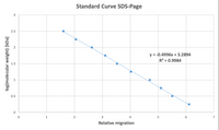 **Standard Curve SDS-PAGE**

This graph represents a standard curve used in SDS-PAGE (Sodium Dodecyl Sulfate Polyacrylamide Gel Electrophoresis) to determine protein molecular weights. The y-axis displays the logarithm of the molecular weight in kilodaltons (log[molecular weight] [kDa]), while the x-axis shows relative migration, which refers to how far proteins have moved through the gel.

### Detailed Explanation:

- **Data Points**: Individual blue dots represent proteins with known molecular weights and their corresponding relative migration distances observed during the electrophoresis.

- **Trendline**: A dotted line fits the data, following a linear trend expressed by the equation:
  \[
  y = -0.4996x + 3.2894
  \]
  Here, `y` is the log(molecular weight) and `x` is the relative migration. The slope is -0.4996, and the y-intercept is 3.2894.

- **Coefficient of Determination (R²)**: The R² value is 0.9984, indicating a very high correlation between relative migration and log(molecular weight), suggesting a reliable model for predicting unknown protein sizes.

This standard curve is an essential tool in molecular biology for estimating the sizes of proteins based on their migration through an SDS-PAGE gel.