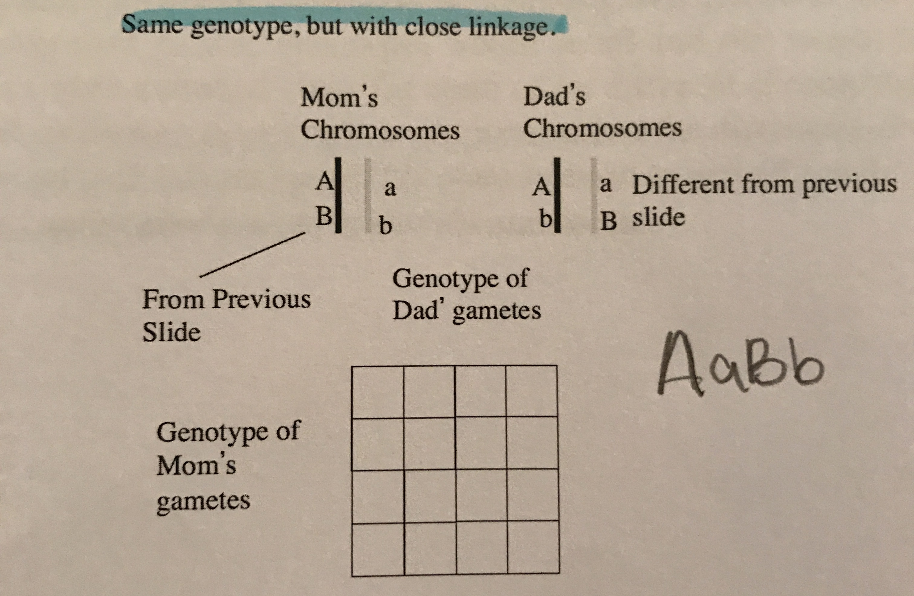 Same genotype, but with close linkage.
Dad's
Mom's
Chromosomes
Chromosomes
A
a Different from previous
bl
A
a
В
B slide
b
Genotype of
Dad' gametes
From Previous
Slide
Aabb
of
Genotype
Mom's
gametes
