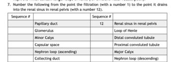 7. Number the following from the point the filtration (with a number 1) to the point it drains
into the renal sinus in renal pelvis (with a number 12).
Sequence #
Sequence #
12
Papillary duct
Glomerulus
Minor Calyx
Capsular space
Nephron loop (ascending)
Collecting duct
Renal sinus in renal pelvis
Loop of Henle
Distal convoluted tubule
Proximal convoluted tubule
Major Calyx
Nephron loop (descending)