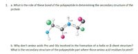 1. a. What is the role of these bond of the polypeptide in determining the secondary structure of the
protein
124A
b. Why don't amino acids Pro and Gly involved in the formation of a-helix or B-sheet structure?
What is the secondary structure of the polypeptide part where those amino acid residues located?
