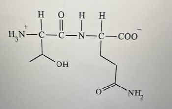 Answered Name The Dipeptide Using Three Letter Bartleby