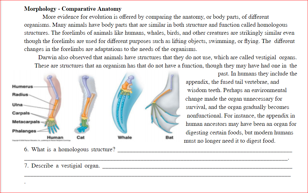 Answered: Morphology - Comparative Anatomy More… | bartleby