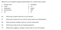 Match how each adaptation supports photosynthesis for a specific type of plant.
f. mesophyll
g. C3
a.
Stomata close.
b. CAM
h. malate
temperature
d. leaf thickness
C.
i.
PEP
j. 0,
е.
C4
66.
Which type of plant works best in cool climates?
67.
Which type of plant uses two cells for fixing carbon into carbohydrates?
68.
Which molecule combines with CO, to form oxaloacetate?
69.
Which factor reduces the rate of photorespiration?
70.
Which factor suggests a strategy to retain water in a dry environment
