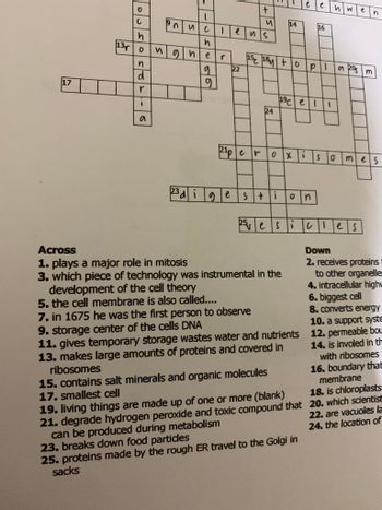 17
C
h
13 0
n
d
r
1
a
1
nuc
23 di
h
nghe
9
9
1
+
и
ens
22
21per
24
15c 18+opl
14
0xi
9 e Sti D n
19cell
Across
1. plays a major role in mitosis
3. which piece of technology was instrumental in the
development of the cell theory
5. the cell membrane is also called....
15. contains salt minerals and organic molecules
17. smallest cell
e
7. in 1675 he was the first person to observe
9. storage center of the cells DNA
11. gives temporary storage wastes water and nutrients
13. makes large amounts of proteins and covered in
ribosomes
16
19. living things are made up of one or more (blank)
21. degrade hydrogen peroxide and toxic compound that
can be produced during metabolism
23. breaks down food particles
25. proteins made by the rough ER travel to the Golgi in
sacks
5esicles
n|w
e n
a Rom
S omes
Down
2. receives proteins
to other organelles
4. intracellular highw
6. biggest cell
8. converts energy
10. a support syste
12. permeable bou
14. is involed in th
with ribosomes
16. boundary that
membrane
18. is chloroplasts
20. which scientist
22. are vacuoles la
24. the location of