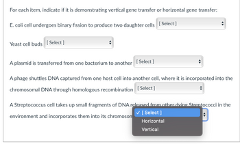 For each item, indicate if it is demonstrating vertical gene transfer or horizontal gene transfer:
E. coli cell undergoes binary fission to produce two daughter cells
Yeast cell buds [Select]
Select]
A plasmid is transferred from one bacterium to another [Select]
A phage shuttles DNA captured from one host cell into another cell, where it is incorporated into the
chromosomal DNA through homologous recombination [Select]
A Streptococcus cell takes up small fragments of DNA released from other dving Streptococci in the
environment and incorporates them into its chromosom
✓ [Select]
Horizontal
Vertical