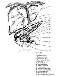 Answered: Label the illustrations below by… | bartleby