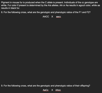 Pigment in mouse fur is produced when the C allele is present. Individuals of the cc genotype are
white. Fur color if present is determined by the A/a alleles. AA or Aa results in agouti color, while aa
results in black fur.
8. For the following cross, what are the genotypic and phenotypic ratios of the F1 and F2?
AACC X aacc
9. For the following cross, what are the genotypic and phenotypic ratios of their offspring?
AaCc X AAcc