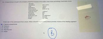 94. A 5-year-old boy is brought to the emergency department because of the sudden onset of fever and lethargy. Examination shows:
Vital signs
Temperature
Pulse
Respirations
Blood pressure
Cerebrospinal fluid
Leukocyte count
Neutrophils
Lymphocytes
Erythrocyte count
Glucose
Protein
40°C (104°F)
120/min
30/min
80/50 mm Hg
1120/mm3
95%
5%
212 million/mm3
16 mg/dL
163 mg/dL
A Gram stain of the cerebrospinal fluid is shown. Which of the following bacterial products promotes virulence of the infecting organism?
OA) Capsular polysaccharide
OB) Endotoxin
OC) M protein
OD) Shiga-like toxin
E) Urease