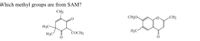 Which methyl groups are from SAM?
CH3
CH3O-
CH3
H3C
COCH3
H3C°
H3C
