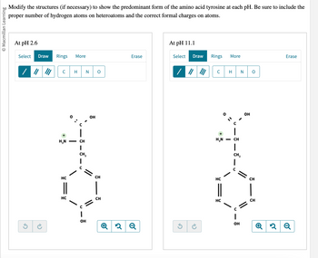 © Macmillan Learning
Modify the structures (if necessary) to show the predominant form of the amino acid tyrosine at each pH. Be sure to include the
proper number of hydrogen atoms on heteroatoms and the correct formal charges on atoms.
At pH 2.6
Select Draw
G
→
Rings More
с
H₂N
HC
||
HC
H N O
CH
I
CH₂
OH
OH
CH
CH
Erase
Q2 Q
At pH 11.1
Select Draw
G
Rings More
H₂N
HC
HC
H N 0
|
- CH
I
CH₂
I
OH
OH
CH
CH
Erase
Q2Q